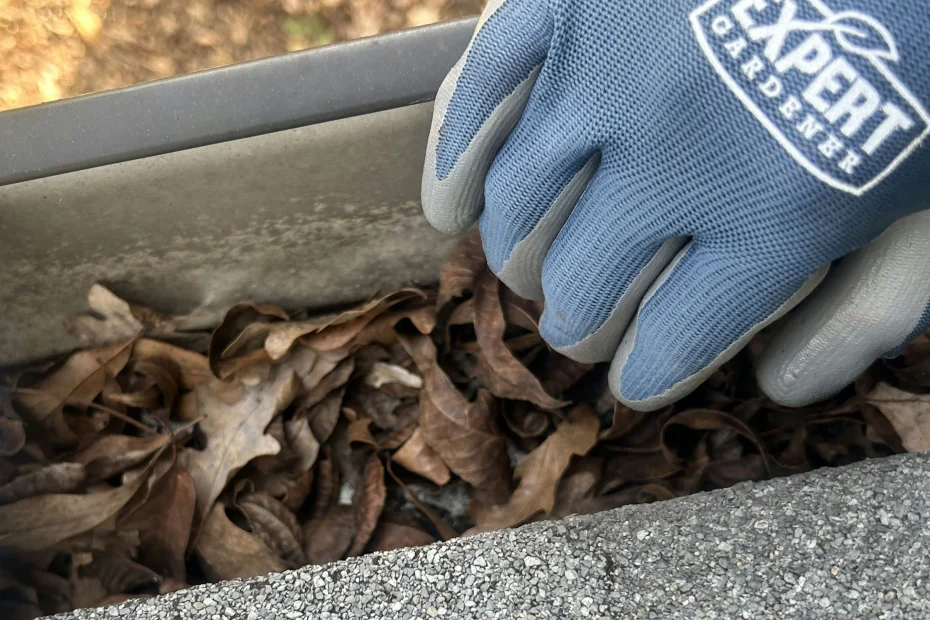 Gutter Cleaning Brentwood, TN