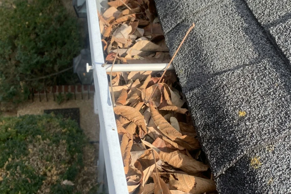 Brentwood Gutter Cleaning